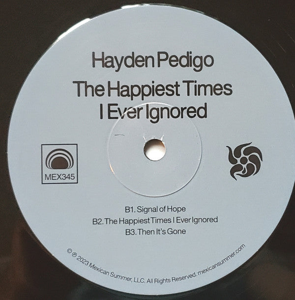Hayden Pedigo : The Happiest Times I Ever Ignored (LP, Album)