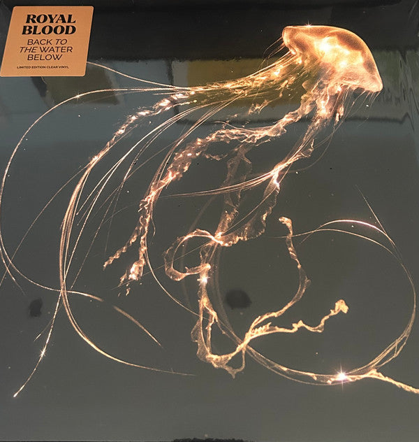 Royal Blood ~ Back To The Water Below (Vinyl) - Djungel & Jazz