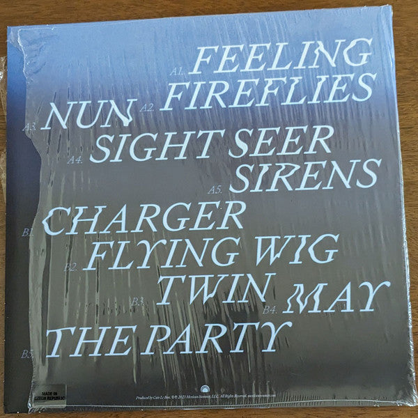 Devendra Banhart ~ Flying Wig (Vinyl) - Djungel & Jazz