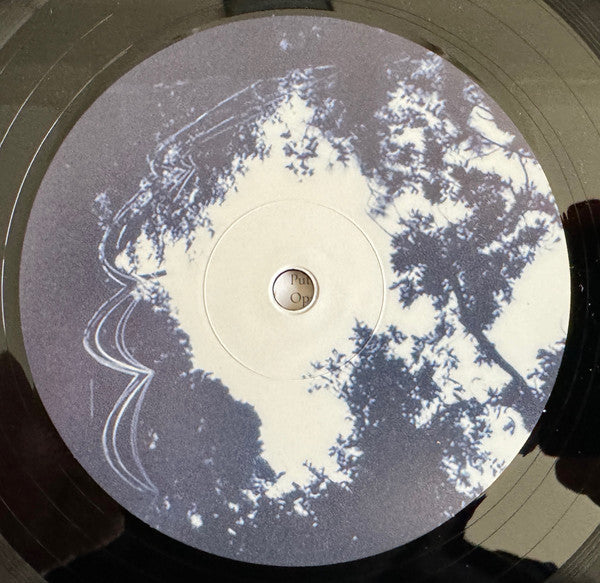 Roger Eno ~ The Skies, They Shift Like Chords (Vinyl) - Djungel & Jazz