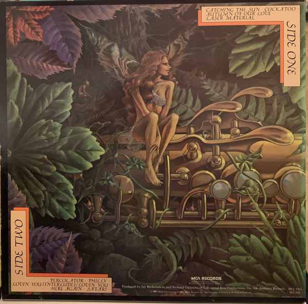Spyro Gyra ~ Catching The Sun (Vinyl) - Djungel & Jazz