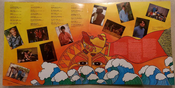 The Beach Boys ~ Sunshine Dream (Vinyl) - Djungel & Jazz
