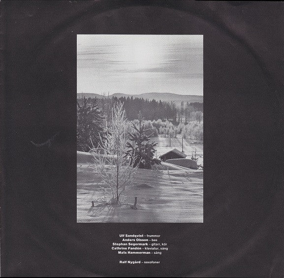 Vacum ~ Den Sista Vintern (Vinyl) - Djungel & Jazz