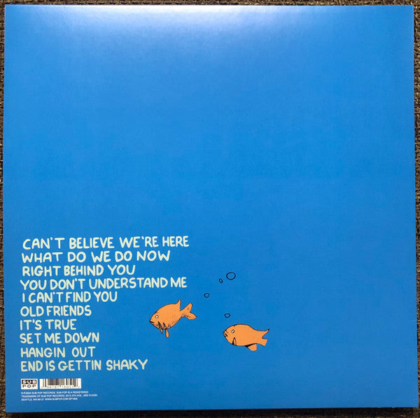 J Mascis ~ What Do We Do Now (Vinyl) - Djungel & Jazz