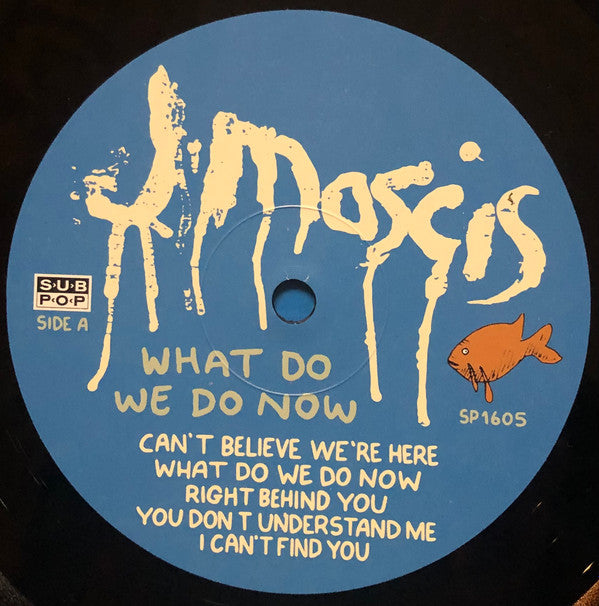 J Mascis ~ What Do We Do Now (Vinyl) - Djungel & Jazz