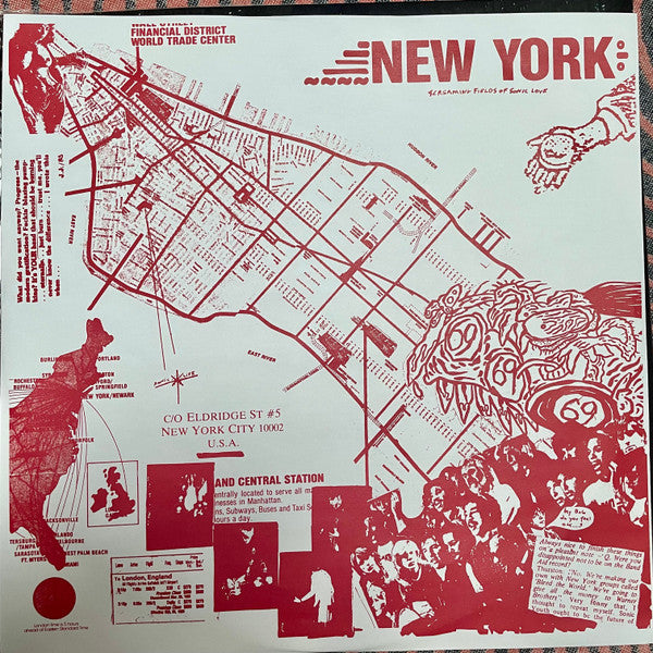 Sonic Youth ~ Walls Have Ears (Vinyl) - Djungel & Jazz