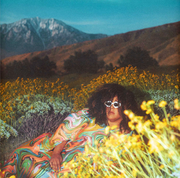 Brittany Howard ~ What Now (Vinyl) - Djungel & Jazz