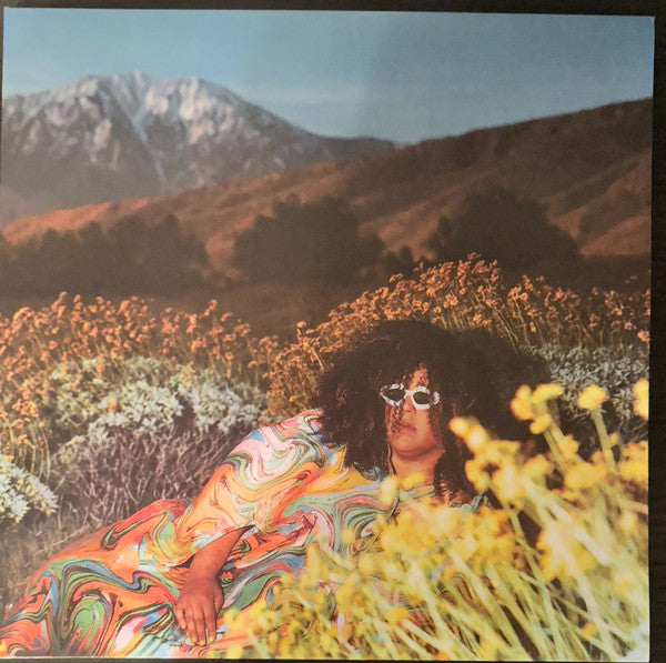 Brittany Howard ~ What Now (Vinyl) - Djungel & Jazz