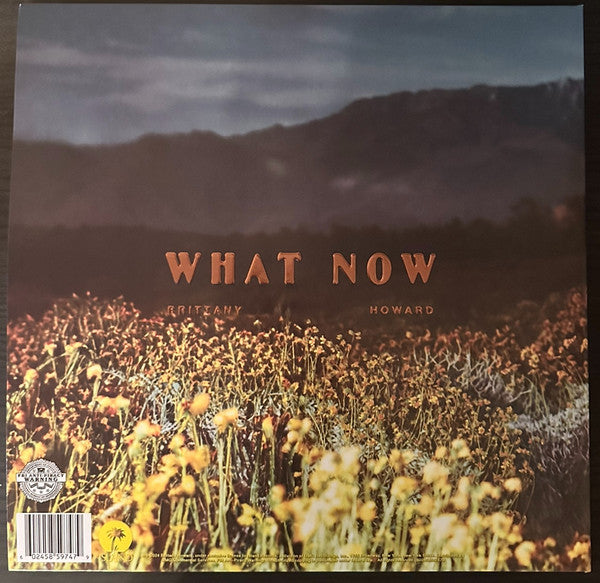 Brittany Howard ~ What Now (Vinyl) - Djungel & Jazz
