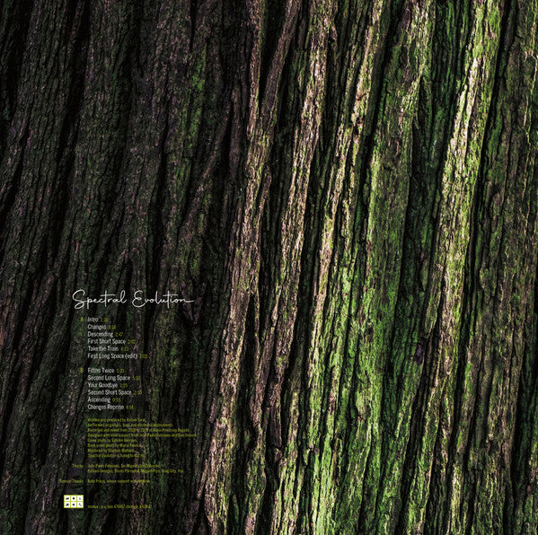 Rafael Toral ~ Spectral Evolution (Vinyl) - Djungel & Jazz