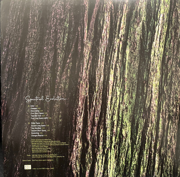 Rafael Toral ~ Spectral Evolution (Vinyl) - Djungel & Jazz