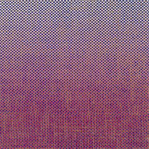 Ambrose Akinmusire & Mary Halvorson – Slo-Mo Neon Luminate Hoverings (LP)