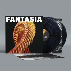 Slift ~ Fantasia (Vinyl) - Djungel & Jazz