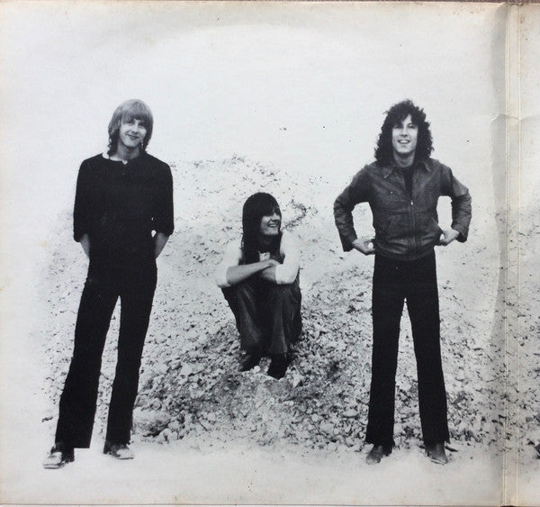 Fleetwood Mac : Then Play On (LP, Album, Gat)