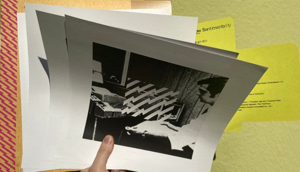 toe ~ New Sentimentality (Vinyl) - Djungel & Jazz