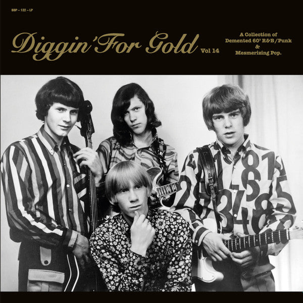 Various ~ Diggin' For Gold Vol 14 (A Collection Of Demented 60' R&B/Punk & Mesmerizing Pop.) (Vinyl) - Djungel & Jazz