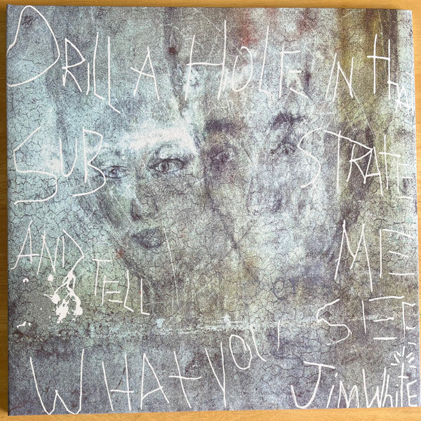 Jim White ~ Drill A Hole In That Substrate And Tell Me What You See (Vinyl) - Djungel & Jazz