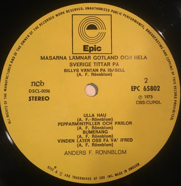 Anders F Rönnblom ~ Måsarna Lämnar Gotland Och Hela Sverige Tittar På (Vinyl) - Djungel & Jazz