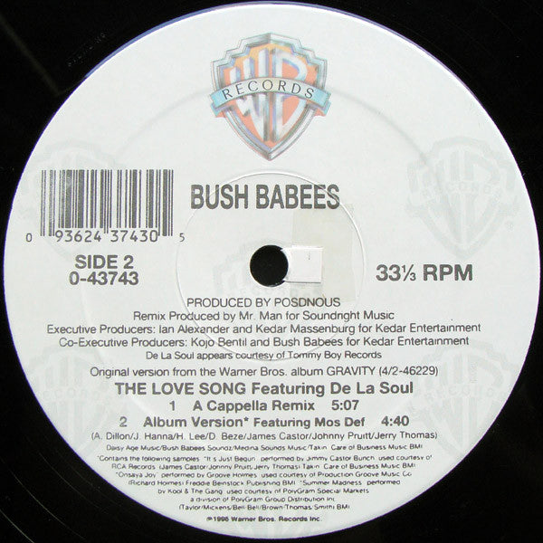 Bush Babees ~ The Love Song (The Remix) (Vinyl) - Djungel & Jazz