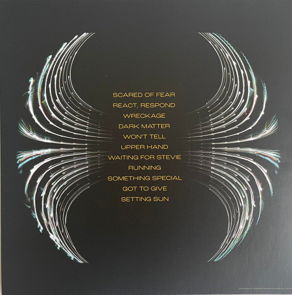 Pearl Jam ~ Dark Matter (Vinyl) - Djungel & Jazz