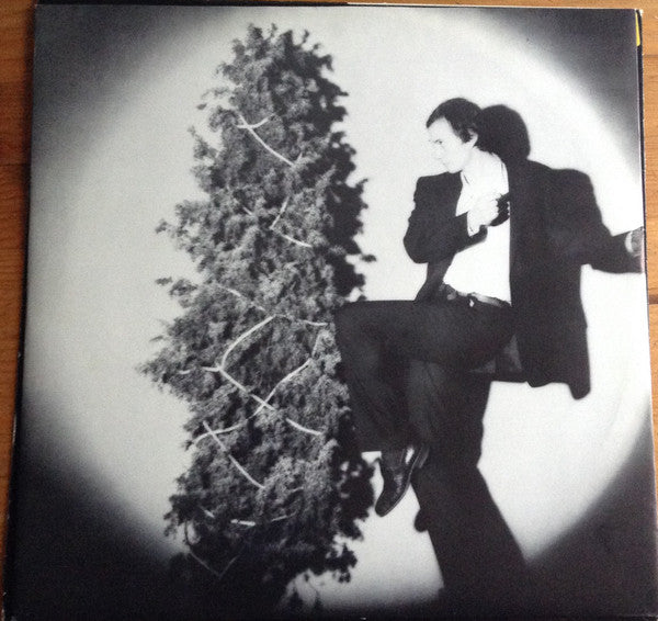 Johan Lindell ~ Fågelvägen (Vinyl) - Djungel & Jazz