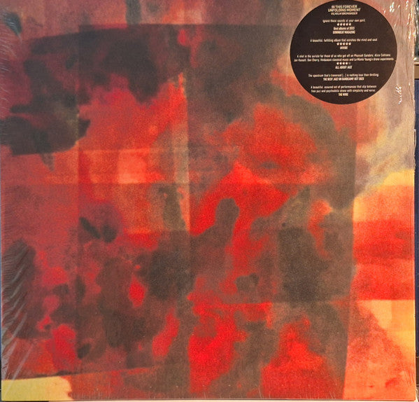Vilhelm Bromander ~ In This Forever Unfolding Moment (Vinyl) - Djungel & Jazz