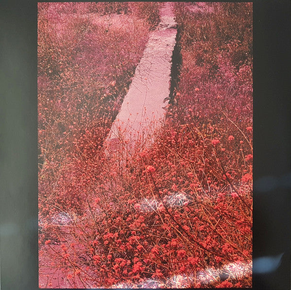 Jessica Pratt ~ Here In The Pitch (Vinyl) - Djungel & Jazz