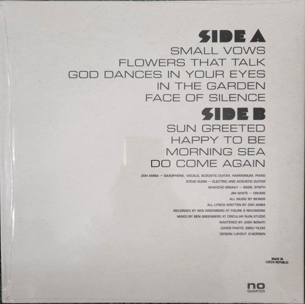 Beings ~ There Is A Garden (Vinyl) - Djungel & Jazz