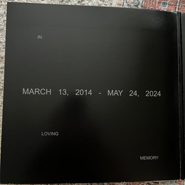 Vince Staples ~ Dark Times (Vinyl) - Djungel & Jazz
