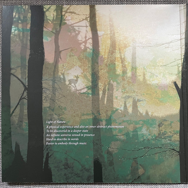 Sebastian Mullaert, Henrik Frendin ~ Hind (Vinyl) - Djungel & Jazz