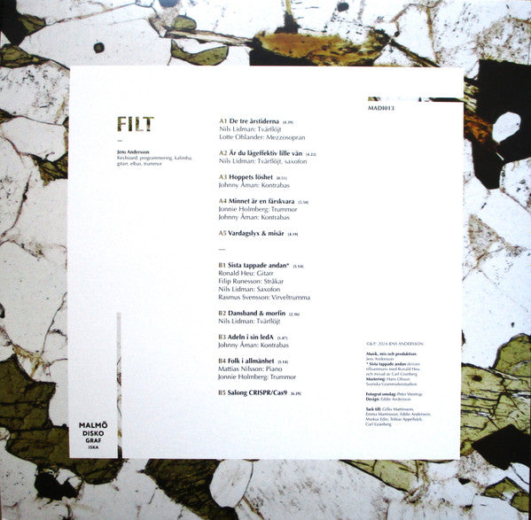 Filt ~ Maximal Minimalism (Vinyl) - Djungel & Jazz