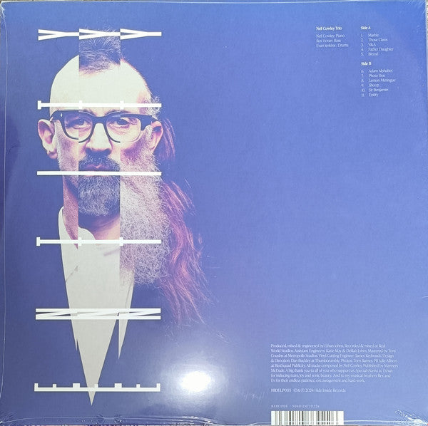 The Neil Cowley Trio ~ Entity (Vinyl) - Djungel & Jazz
