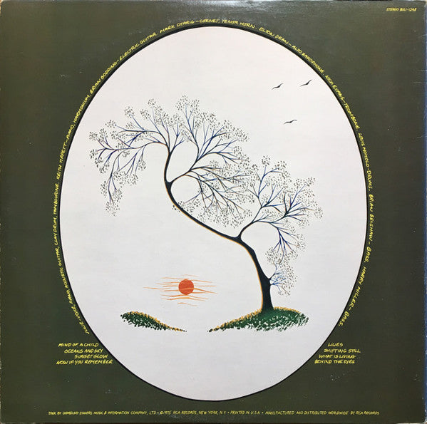 Julie Tippetts ~ Sunset Glow (Vinyl) - Djungel & Jazz