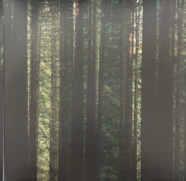 The Paper Kites ~ Evergreen (Vinyl) - Djungel & Jazz