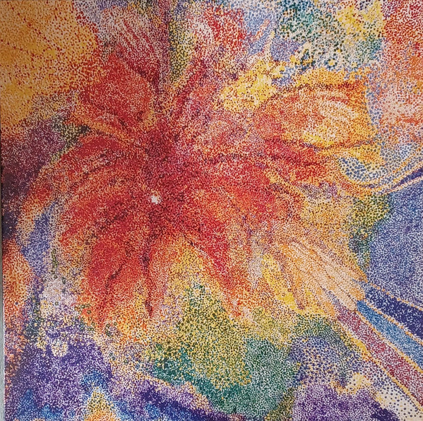 Tess Parks ~ Pomegranate (Vinyl) - Djungel & Jazz