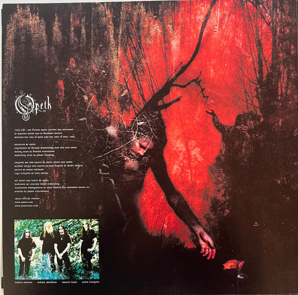 Opeth ~ Still Life (Vinyl) - Djungel & Jazz