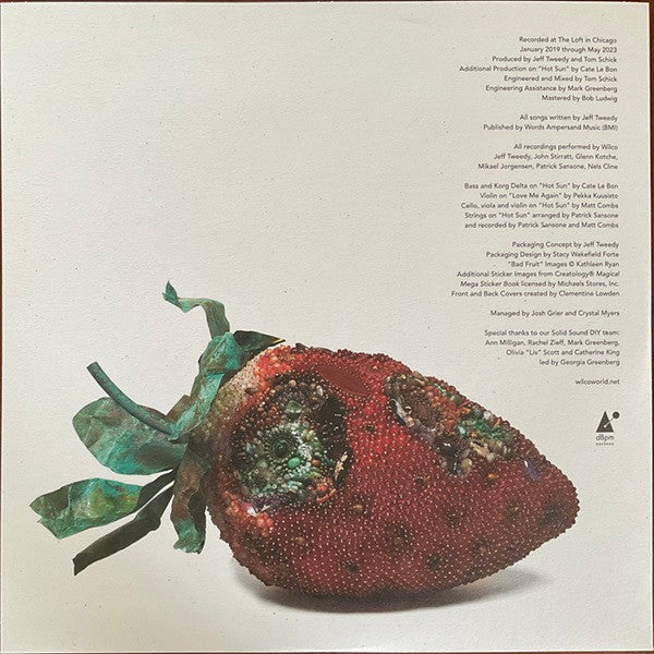Wilco ~ Hot Sun Cool Shroud (Vinyl) - Djungel & Jazz