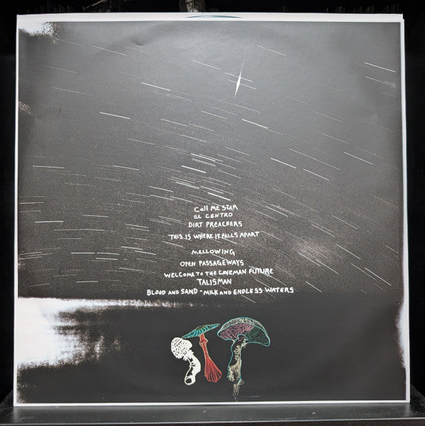 All Them Witches ~ Dying Surfer Meets His Maker (Vinyl) - Djungel & Jazz