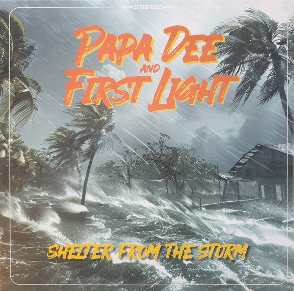 Papa Dee And First Light (9) : Shelter From The Storm (12")