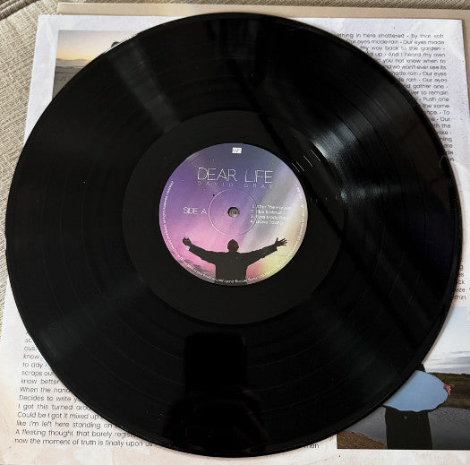 David Gray ~ Dear Life (Vinyl) - Djungel & Jazz