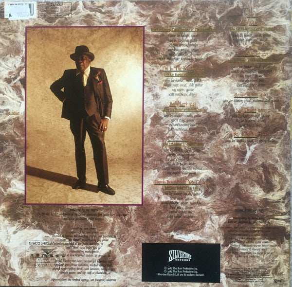 John Lee Hooker ~ The Healer (Vinyl) - Djungel & Jazz