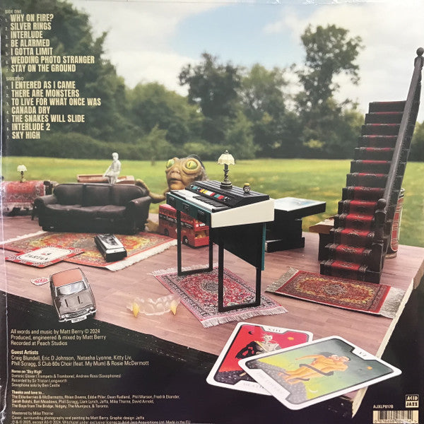 Matt Berry ~ Heard Noises (Vinyl) - Djungel & Jazz