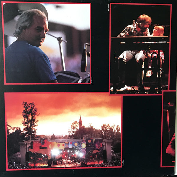 Grateful Dead ~ Without A Net (Vinyl) - Djungel & Jazz