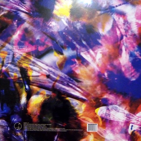 Viudez & Rudolf ~ Running For Hawks (Vinyl) - Djungel & Jazz