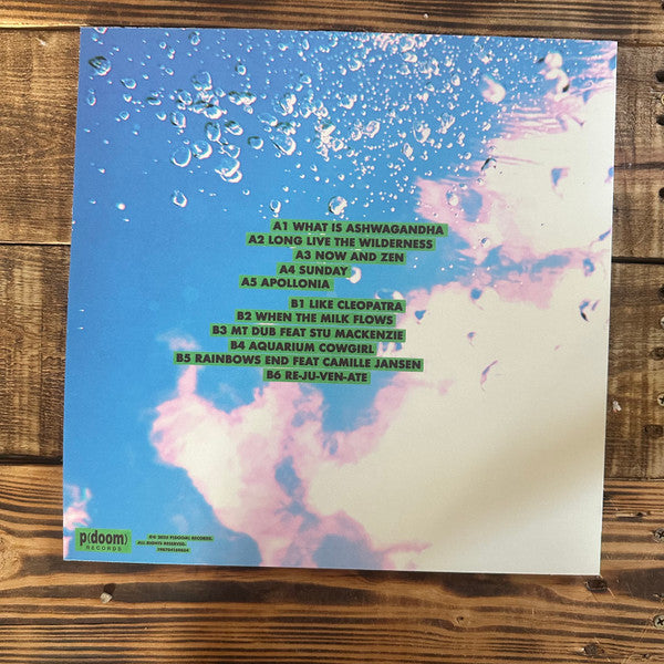 The Babe Rainbow ~ Slipper Imp And Shakaerator (Vinyl) - Djungel & Jazz