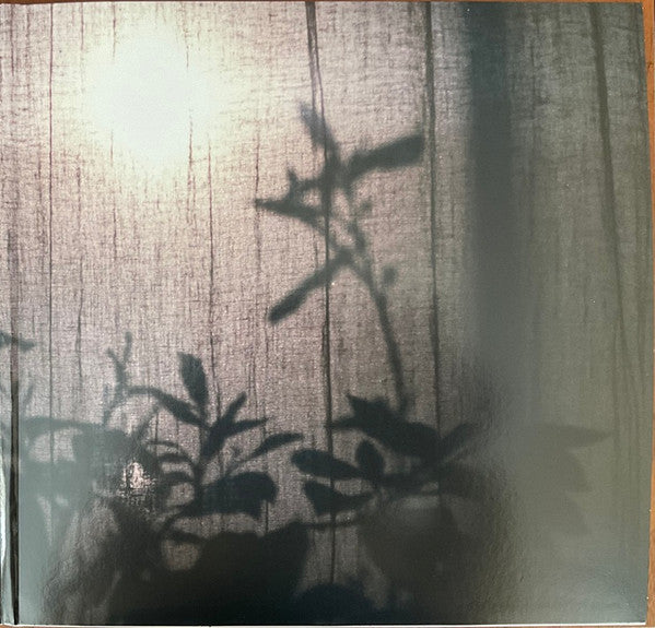 Beirut ~ A Study Of Losses (Vinyl) - Djungel & Jazz