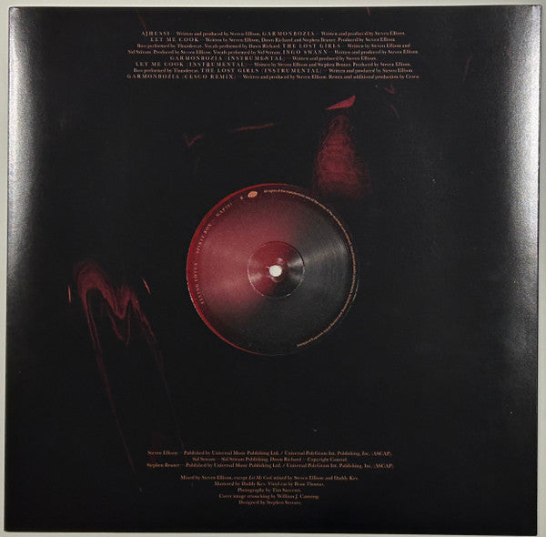 Flying Lotus ~ Spirit Box (Vinyl) - Djungel & Jazz