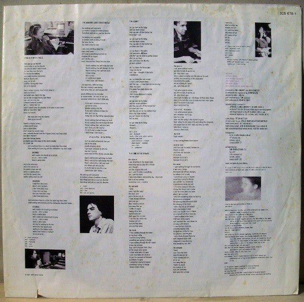 Jane Siberry ~ The Walking (Vinyl) - Djungel & Jazz