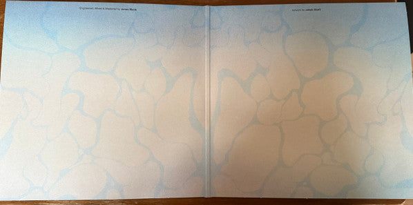 Causa Sui ~ In Flux (Vinyl) - Djungel & Jazz