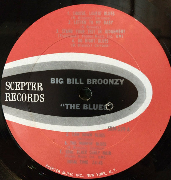 Big Bill Broonzy ~ The Blues (Vinyl) - Djungel & Jazz